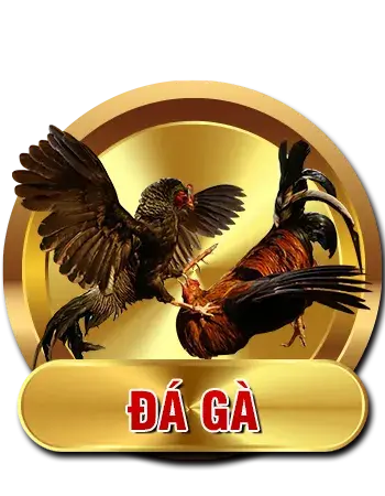 da-ga-6ff